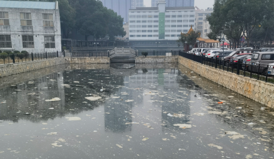 污水处理厂恶臭电子鼻监测仪 大气污染臭气异味投诉监控系统
